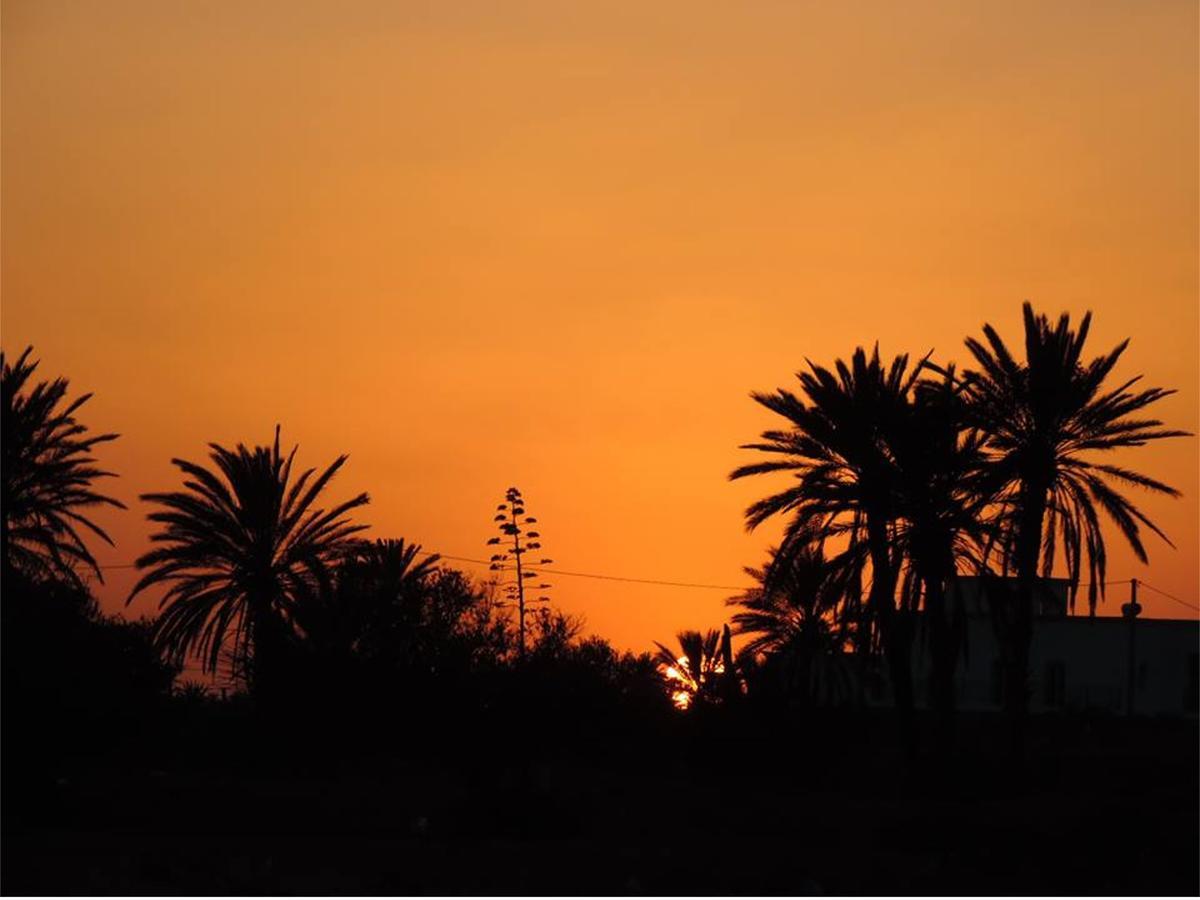 Dar Jasmin Djerba Bed & Breakfast Temlale Bagian luar foto