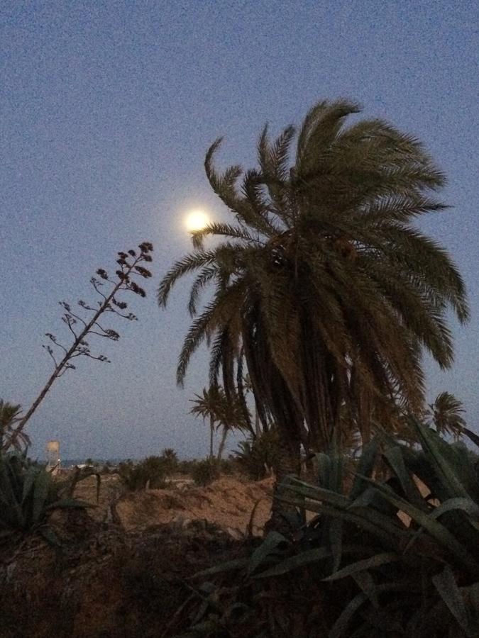 Dar Jasmin Djerba Bed & Breakfast Temlale Bagian luar foto