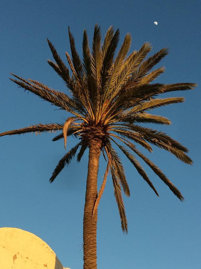 Dar Jasmin Djerba Bed & Breakfast Temlale Bagian luar foto