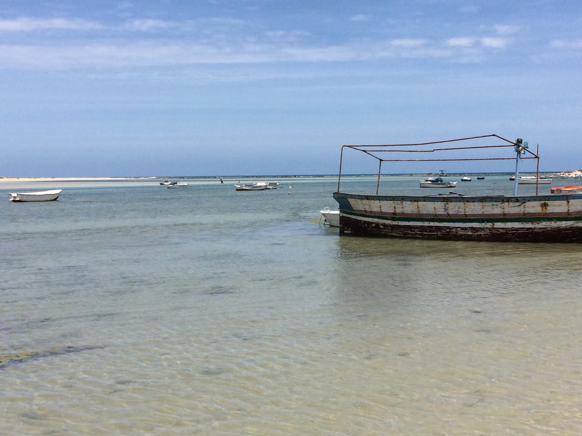 Dar Jasmin Djerba Bed & Breakfast Temlale Bagian luar foto