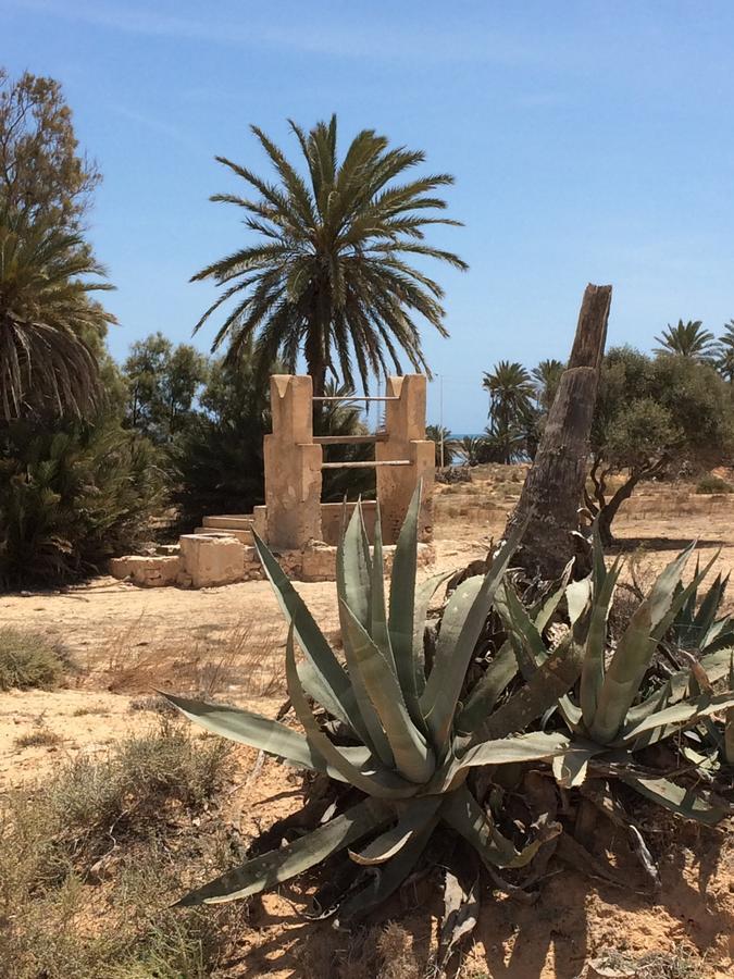Dar Jasmin Djerba Bed & Breakfast Temlale Bagian luar foto