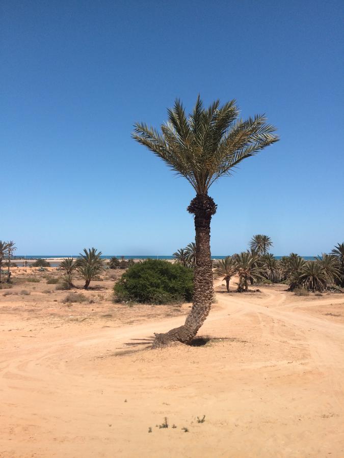 Dar Jasmin Djerba Bed & Breakfast Temlale Bagian luar foto