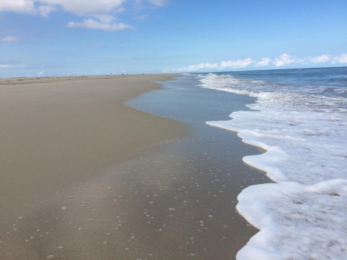 Dar Jasmin Djerba Bed & Breakfast Temlale Bagian luar foto